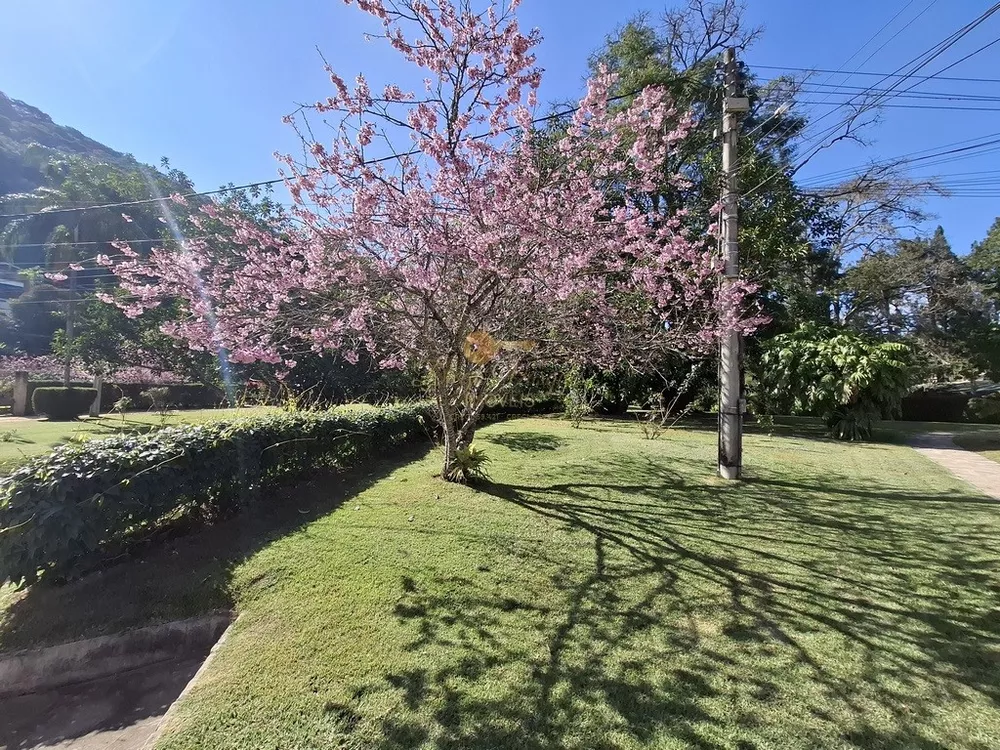 Apartamento, 1 quarto, 40 m² - Foto 10