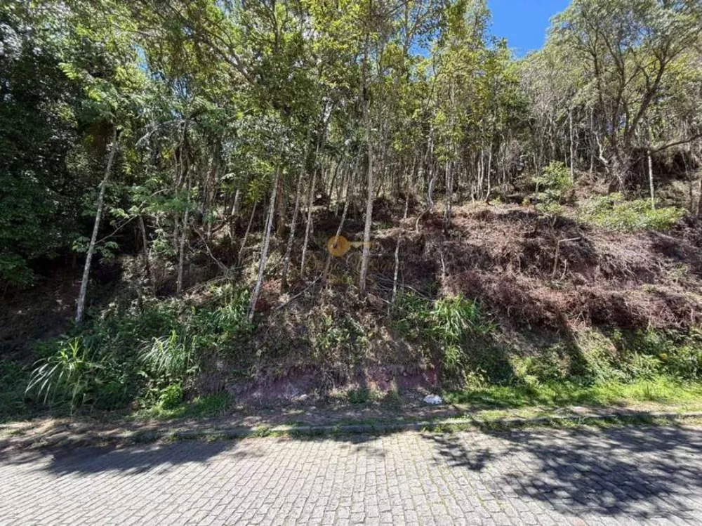 Terreno, 4000 m² - Foto 8