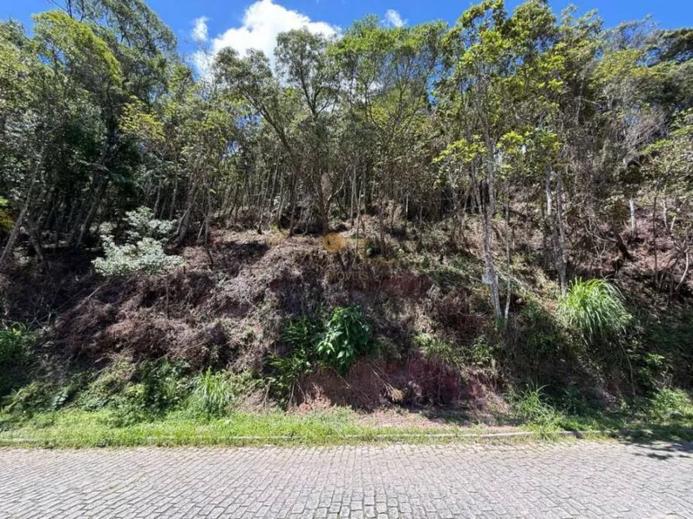 Terreno, 4000 m² - Foto 13