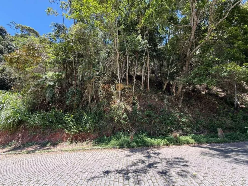 Terreno, 4000 m² - Foto 3