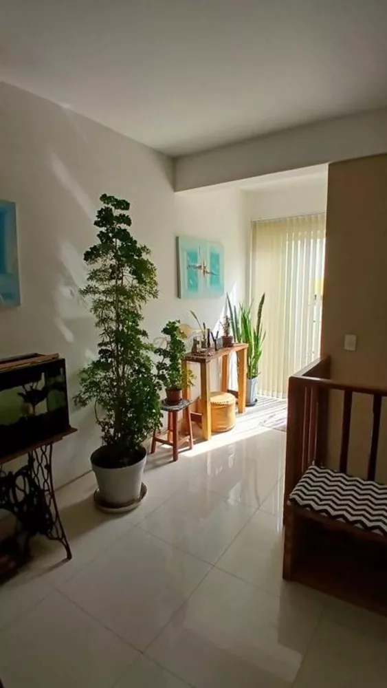 Cobertura, 3 quartos - Foto 5