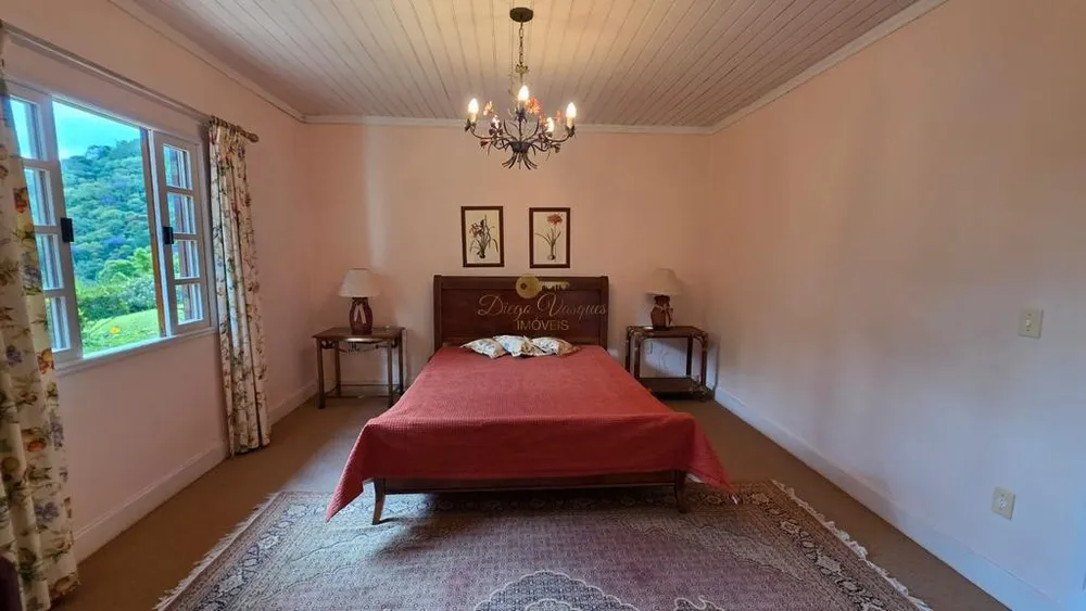 Sítio, 8 quartos, 55 hectares - Foto 2
