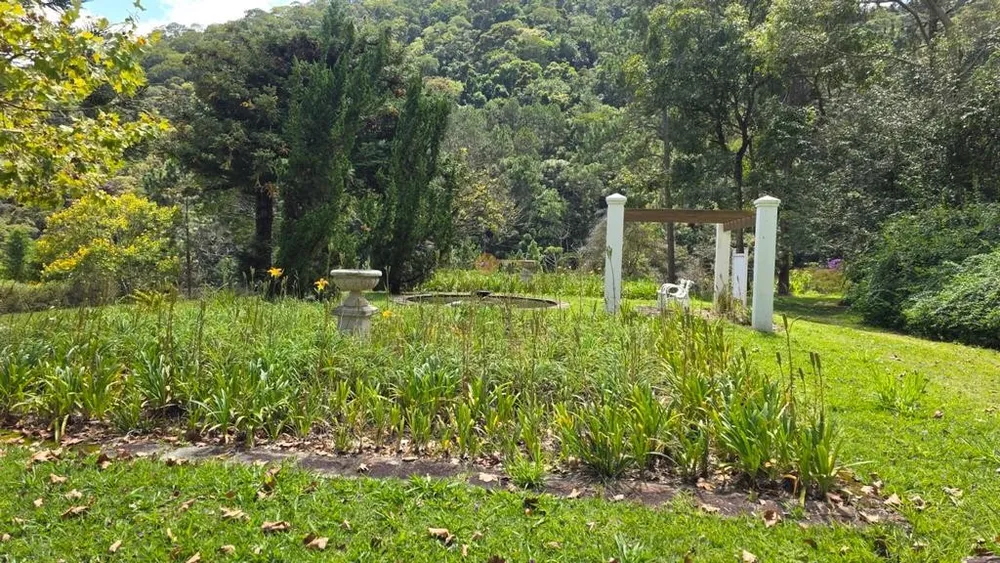 Sítio, 8 quartos, 55 hectares - Foto 4