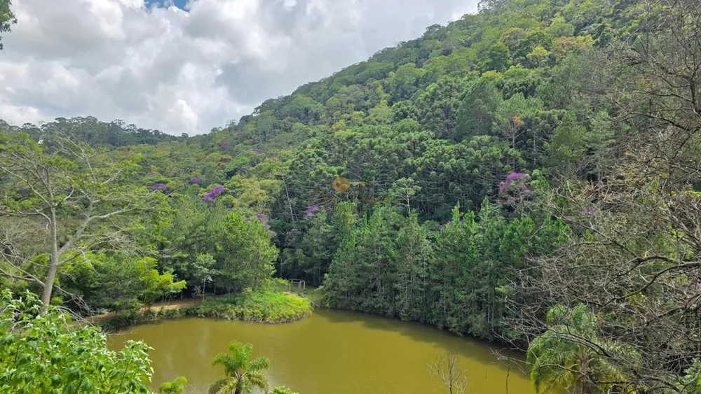 Sítio, 8 quartos, 55 hectares - Foto 8