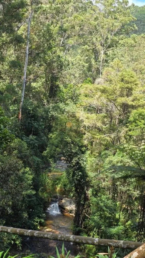 Sítio, 8 quartos, 55 hectares - Foto 60