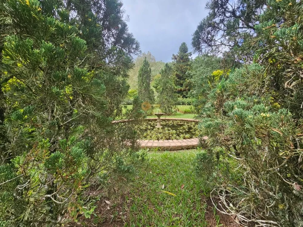 Sítio, 8 quartos, 55 hectares - Foto 49
