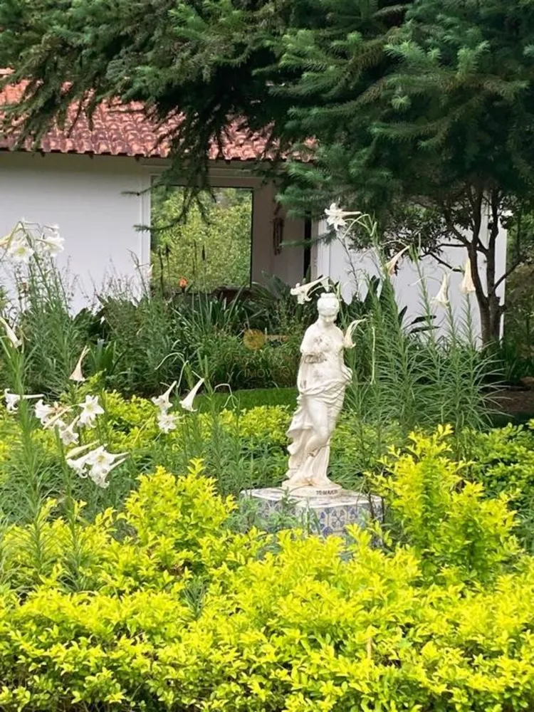Sítio, 8 quartos, 55 hectares - Foto 12