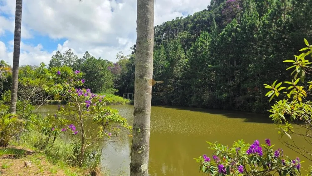 Sítio, 8 quartos, 55 hectares - Foto 14