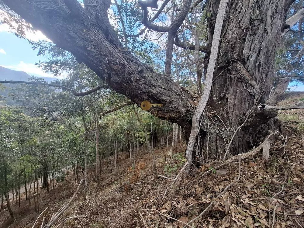 Terreno, 815 m² - Foto 8