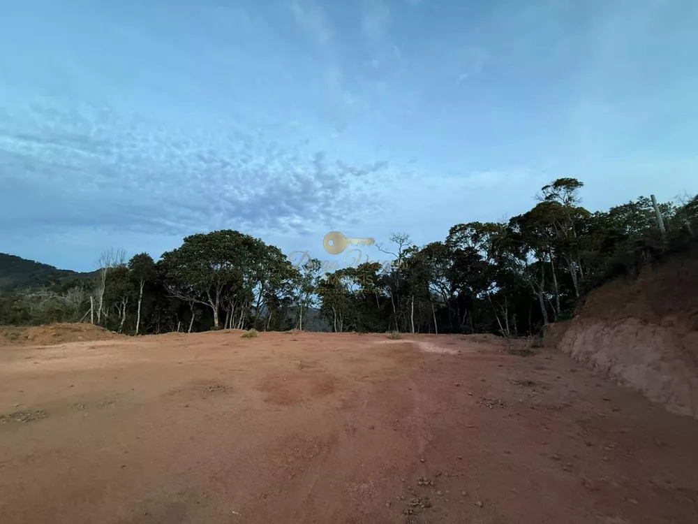 Terreno, 4065 m² - Foto 4