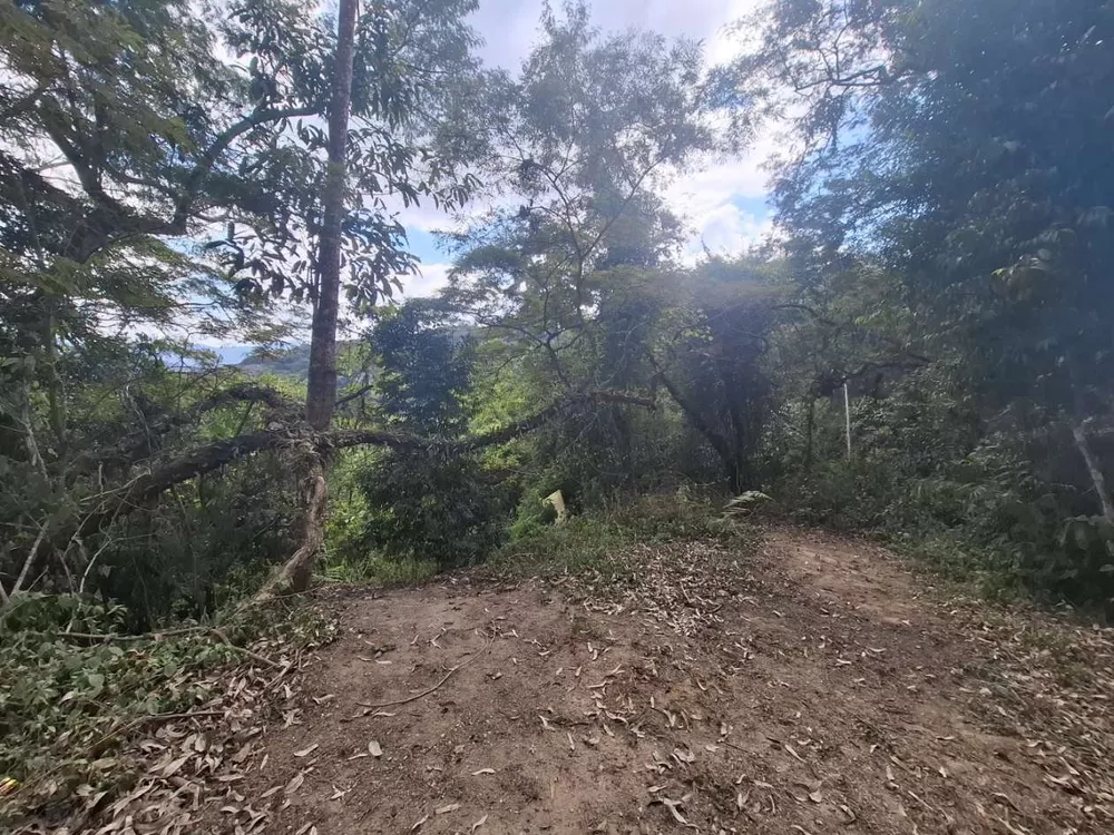 Terreno, 2330 m² - Foto 3