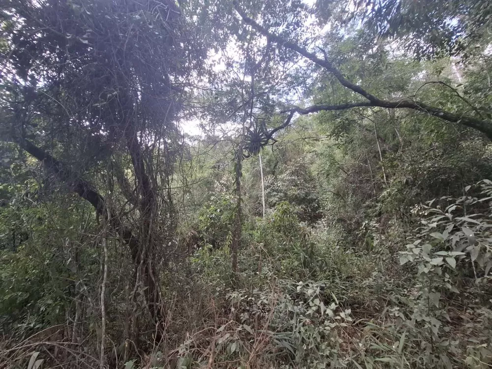 Terreno, 2330 m² - Foto 12