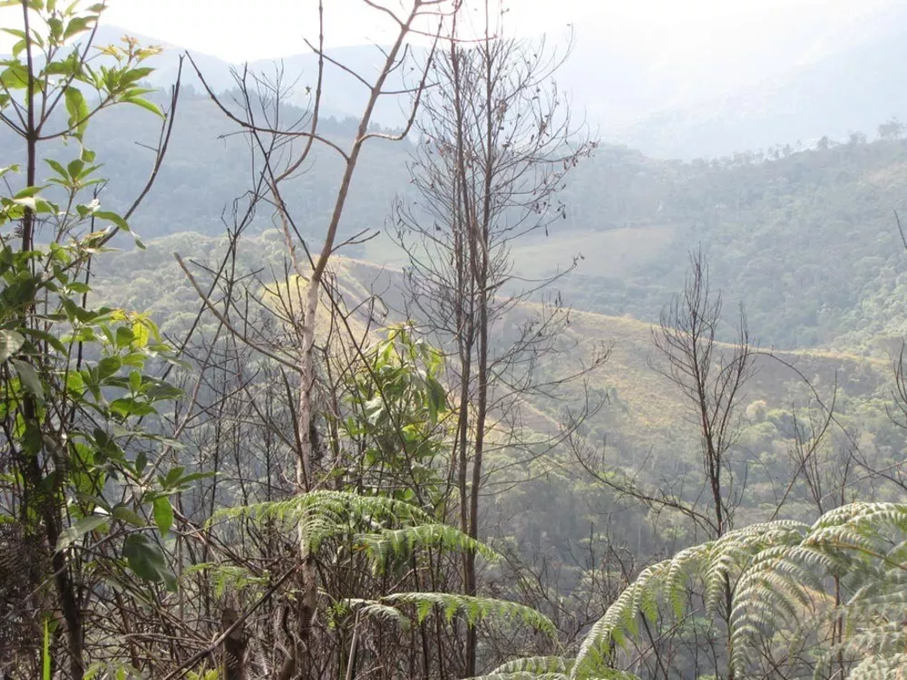 Terreno, 2330 m² - Foto 5