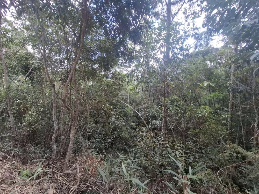 Terreno, 2330 m² - Foto 15