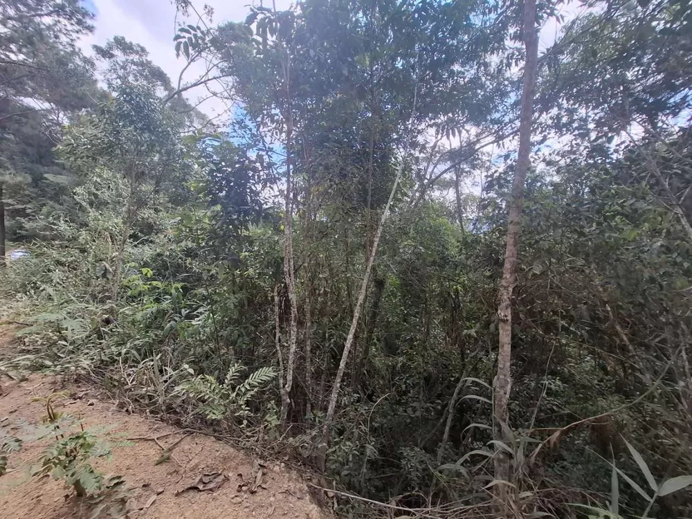 Terreno, 2330 m² - Foto 6