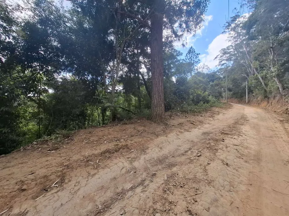 Terreno, 2330 m² - Foto 4