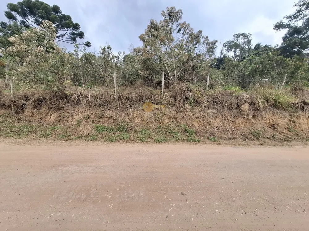 Terreno, 1550 m² - Foto 3