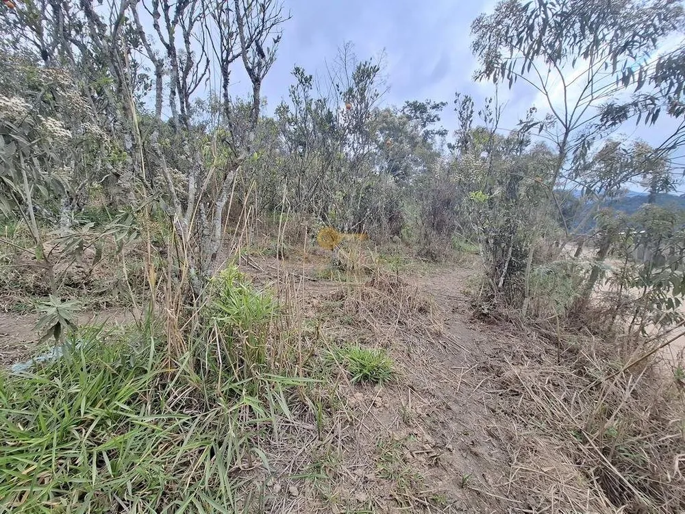 Terreno, 1550 m² - Foto 11