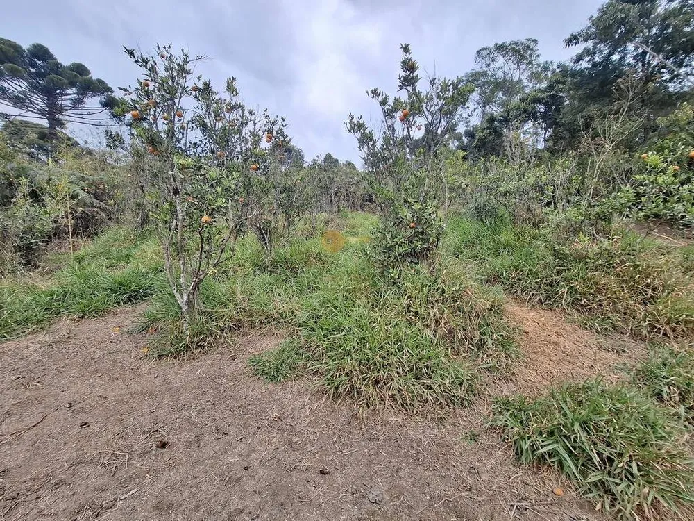 Terreno, 1550 m² - Foto 12