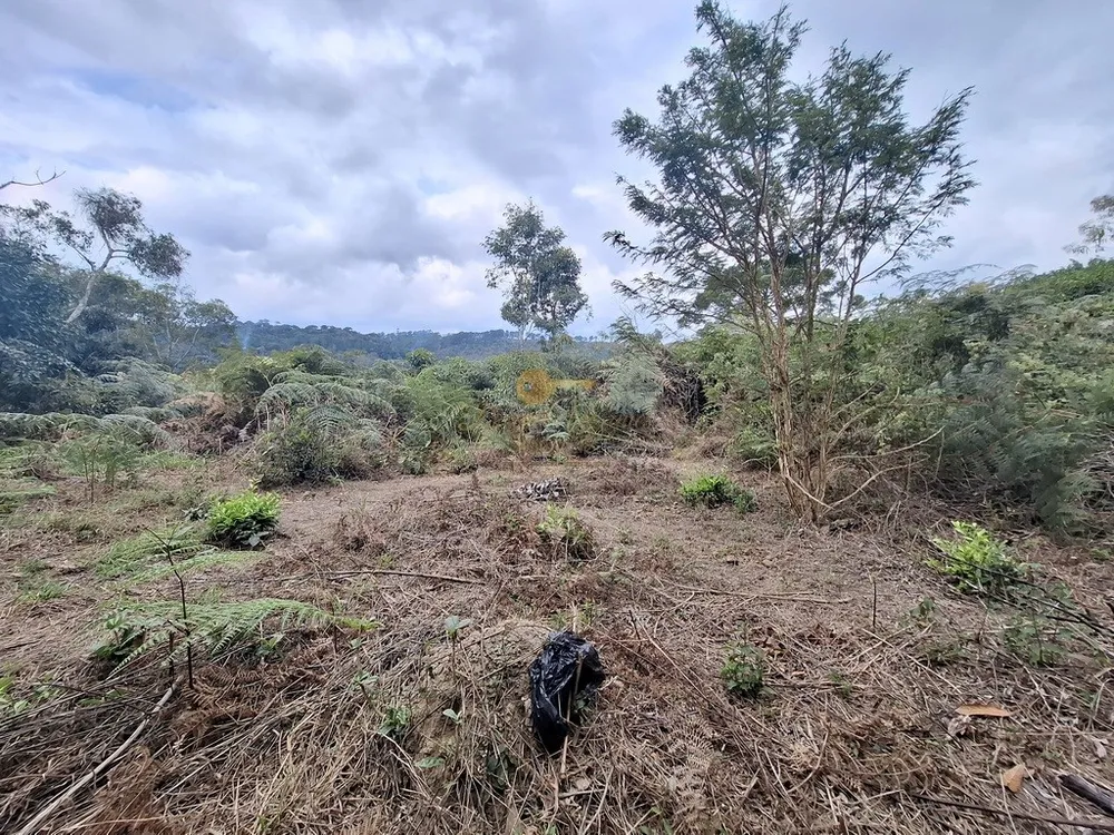 Terreno, 1550 m² - Foto 9