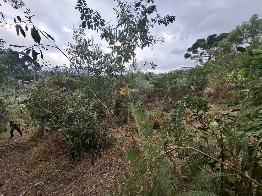 Terreno, 1550 m² - Foto 7