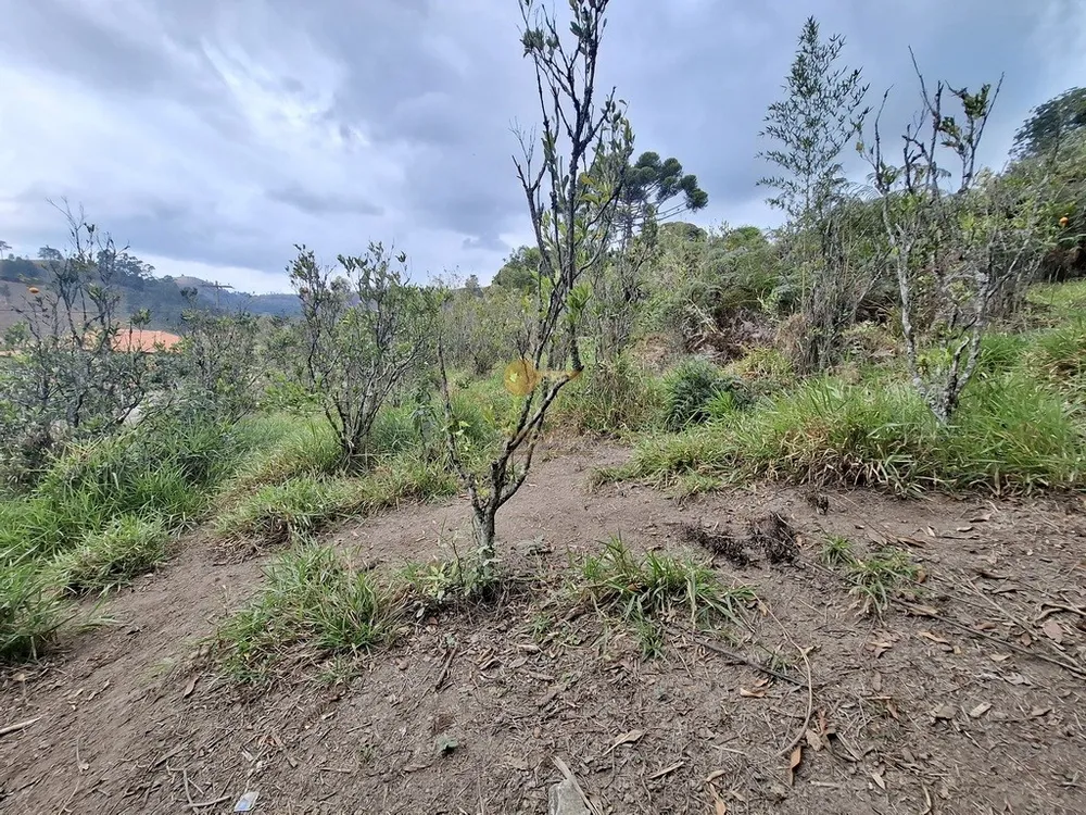 Terreno, 1550 m² - Foto 6
