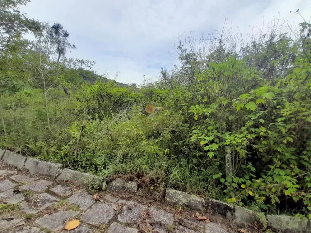 Terreno, 1900 m² - Foto 4