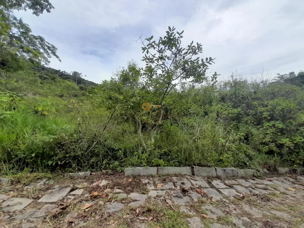 Terreno, 1900 m² - Foto 5