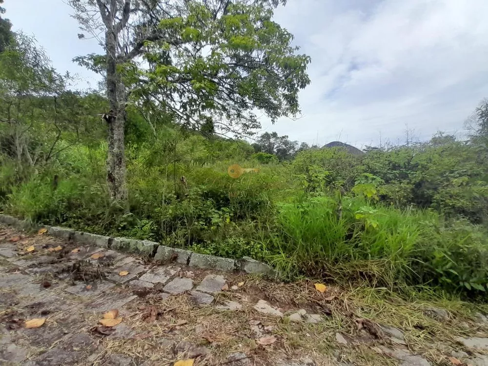 Terreno, 1900 m² - Foto 7