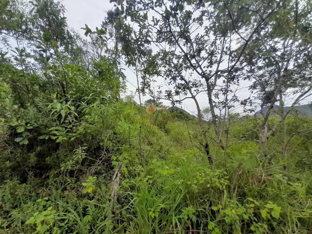 Terreno, 1900 m² - Foto 12