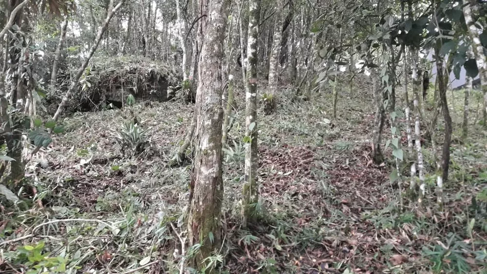 Terreno, 1000 m² - Foto 8