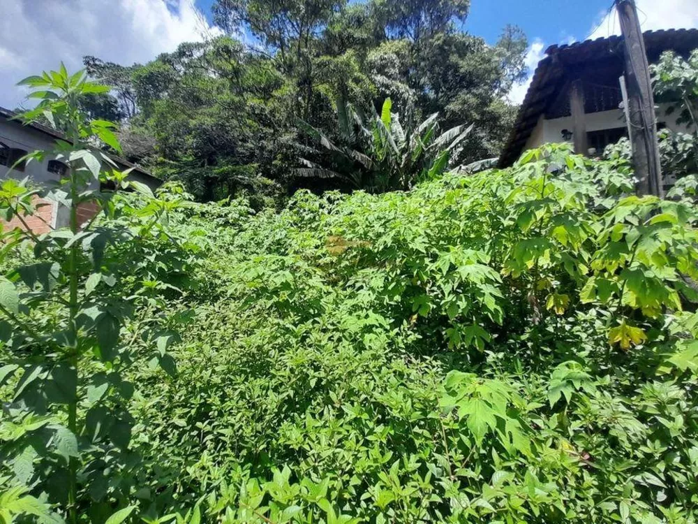 Terreno, 246 m² - Foto 3