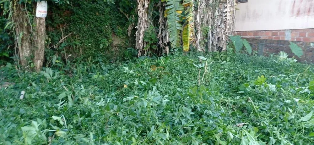 Terreno, 246 m² - Foto 10