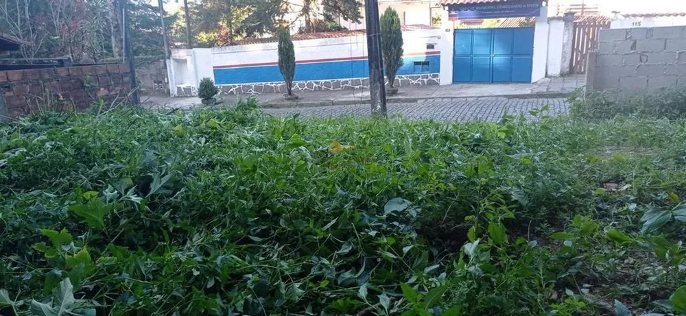 Terreno, 246 m² - Foto 8