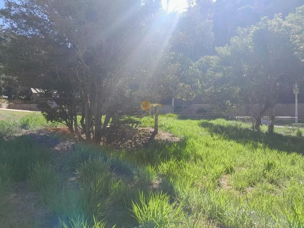 Terreno, 324 m² - Foto 3