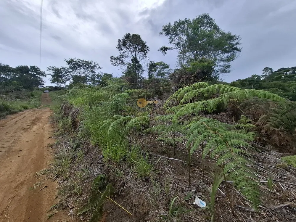 Terreno, 3 hectares - Foto 14