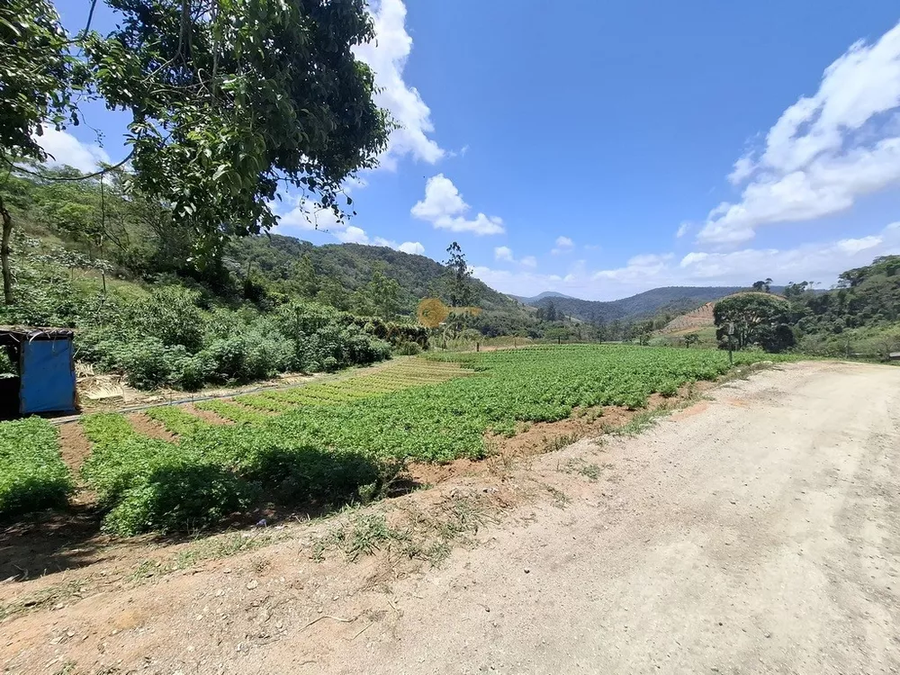 Terreno, 3 hectares - Foto 7