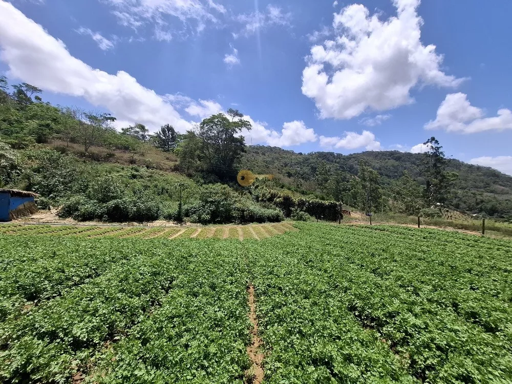 Terreno, 3 hectares - Foto 5