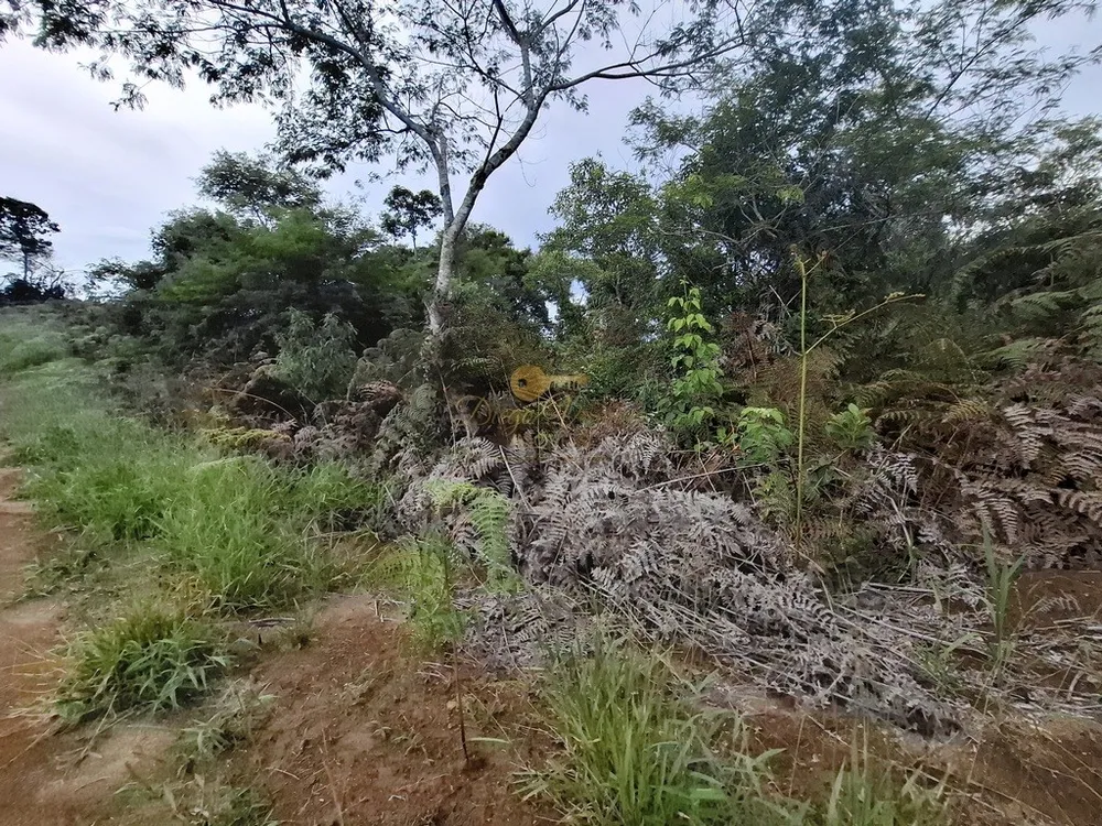 Terreno, 3 hectares - Foto 17
