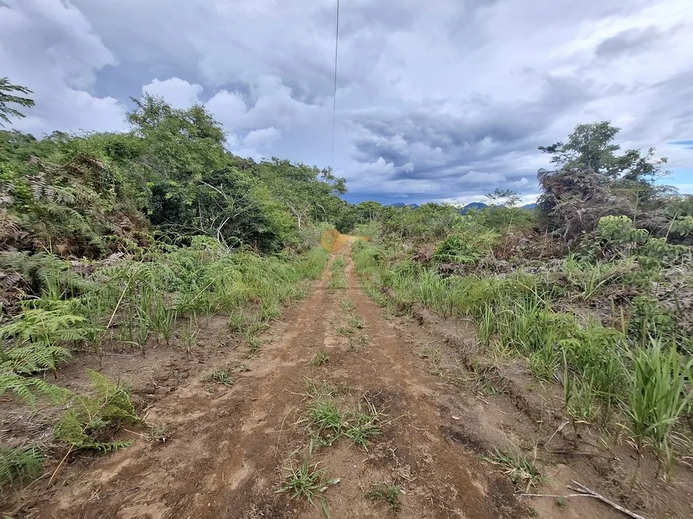 Terreno, 3 hectares - Foto 10