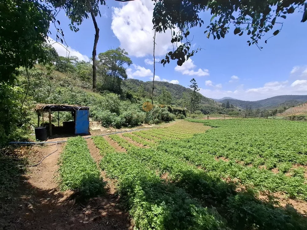 Terreno, 3 hectares - Foto 8