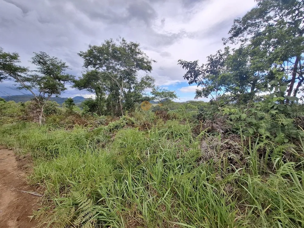 Terreno, 3 hectares - Foto 18