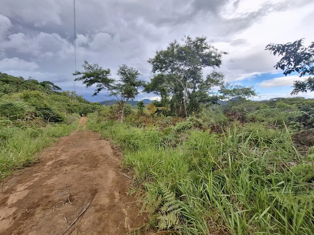 Terreno, 3 hectares - Foto 19