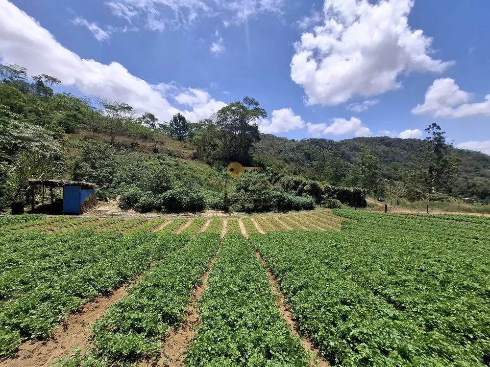 Terreno, 3 hectares - Foto 6