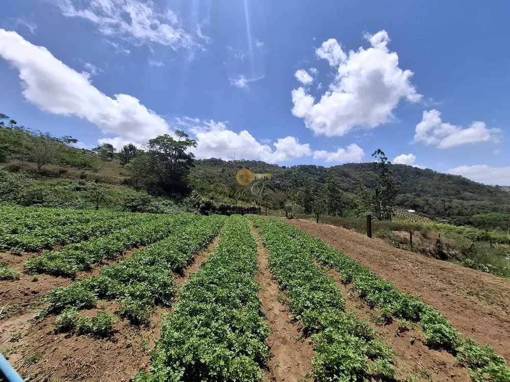 Terreno, 3 hectares - Foto 4