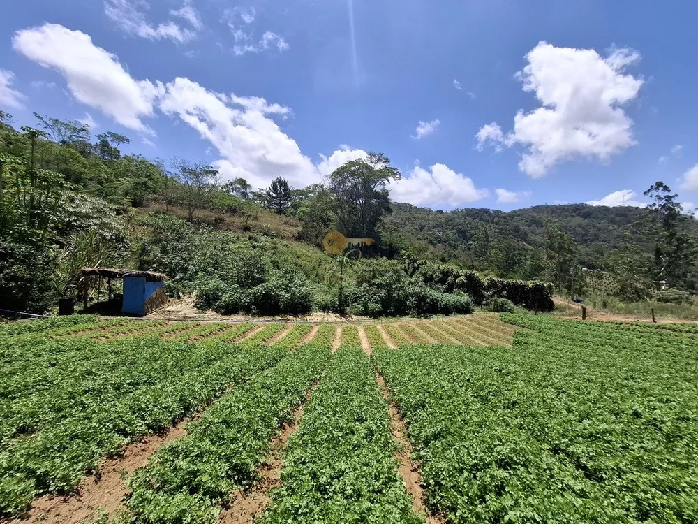 Terreno, 3 hectares - Foto 2