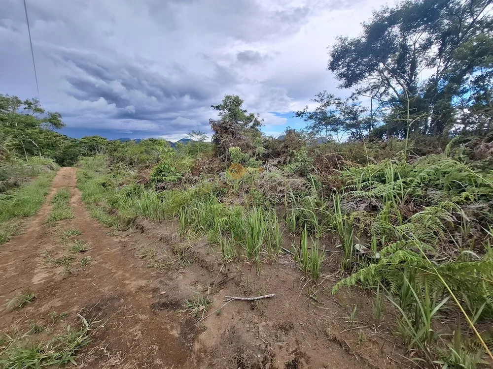Terreno, 3 hectares - Foto 11