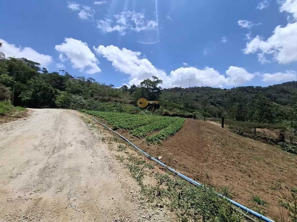 Terreno, 3 hectares - Foto 1