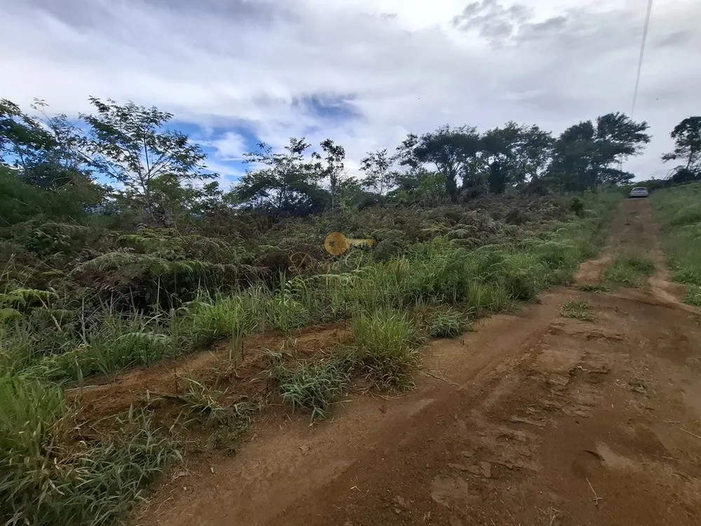 Terreno, 3 hectares - Foto 16