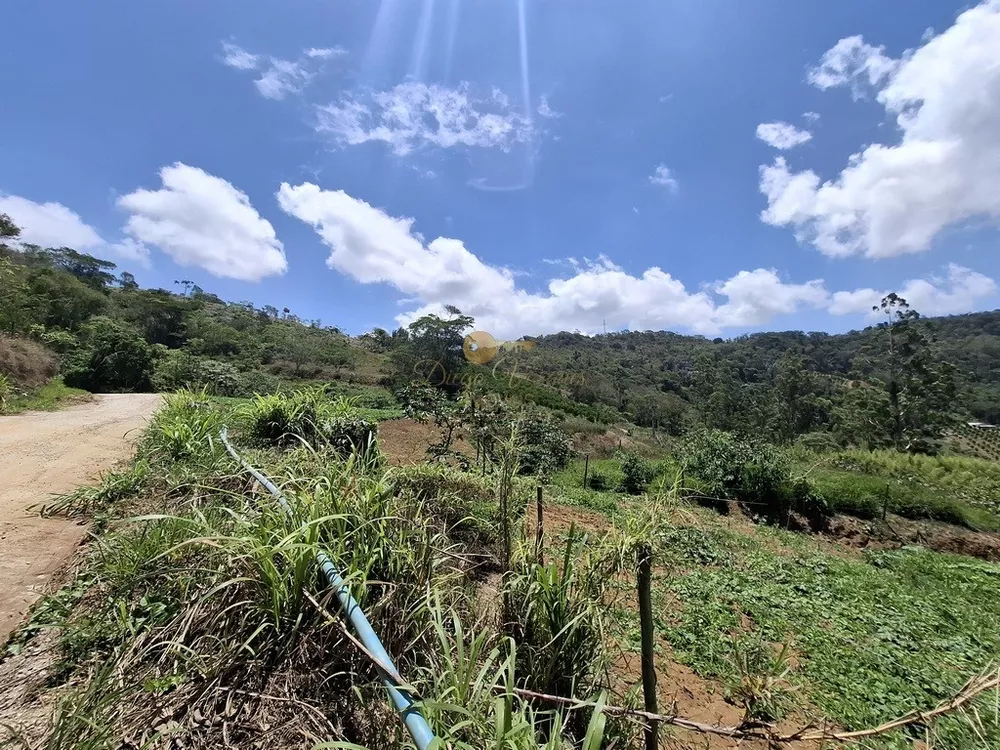Terreno, 3 hectares - Foto 3